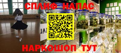 шишки Гулькевичи