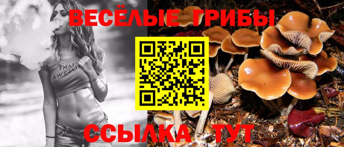 Галлюциногенные грибы ЛСД Каменка