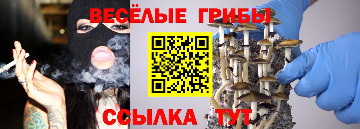 Псилоцибиновые грибы прущие грибы  закладки  Каменка  Вход с VPN 